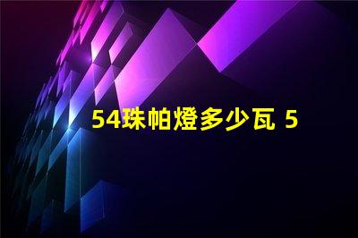 54珠帕燈多少瓦 54珠帕燈說明書